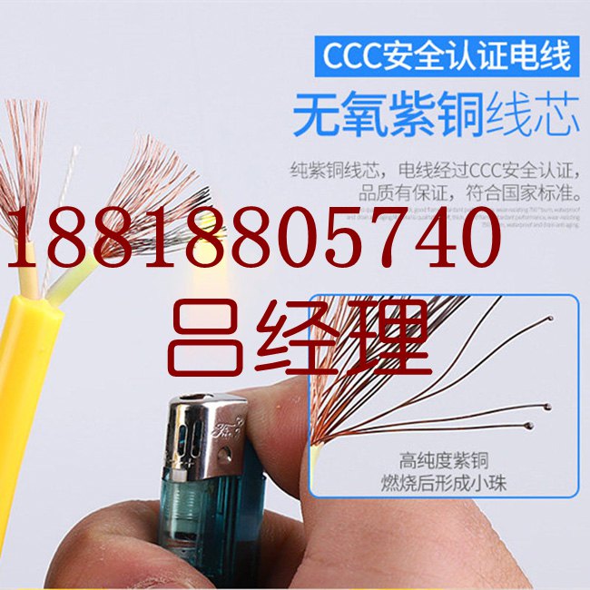 廣州荔灣電線電纜