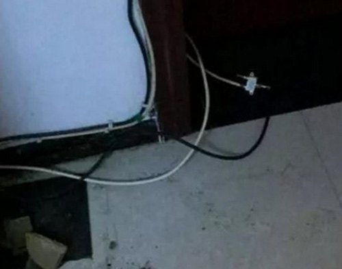 二哈拆家咬到電線，成果被電到炸毛，主人笑翻：小家伙長(zhǎng)的真共同